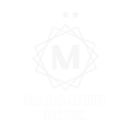 Hotel in the center of St. Petersburg